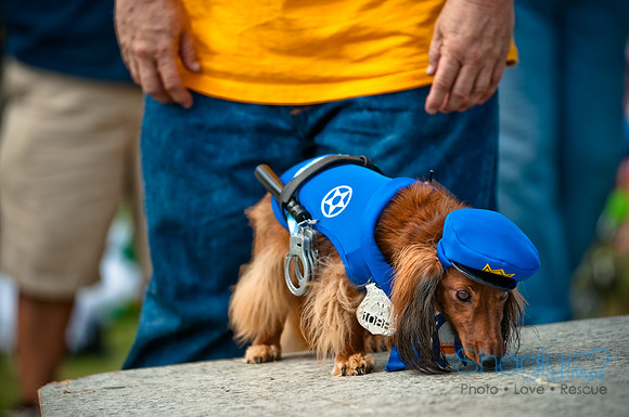 Dog Day Afternoon-94