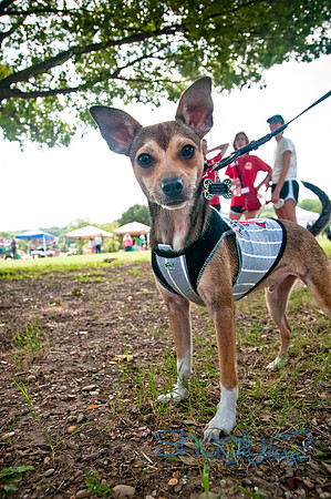 Dog Day Afternoon-109