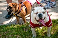 Dog Day Afternoon-4