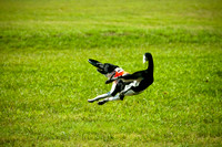 Dog Day Afternoon-11