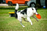 Dog Day Afternoon-17