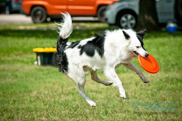 Dog Day Afternoon-17