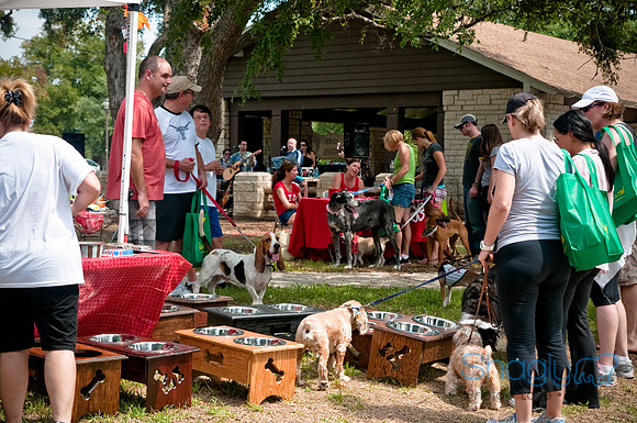 Dog Day Afternoon-112