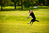 Dog Day Afternoon-9