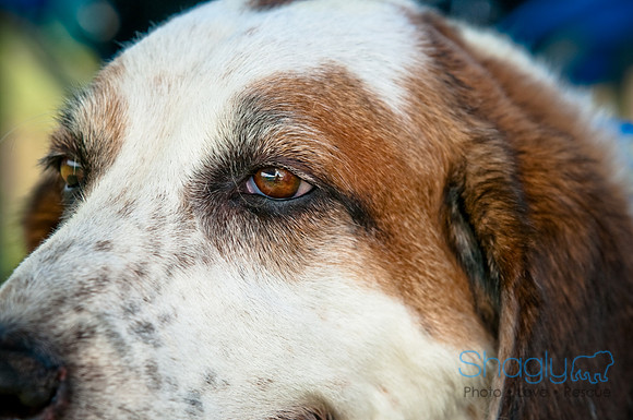 Dog Day Afternoon-24