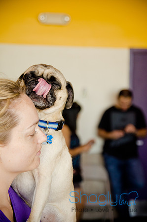Princess & Yoshi's PUG BIRTHDAY BASH-22