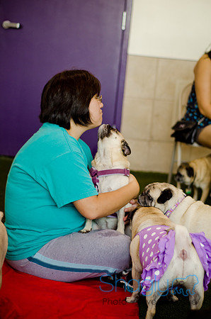 Princess & Yoshi's PUG BIRTHDAY BASH-8