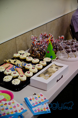 Princess & Yoshi's PUG BIRTHDAY BASH-15