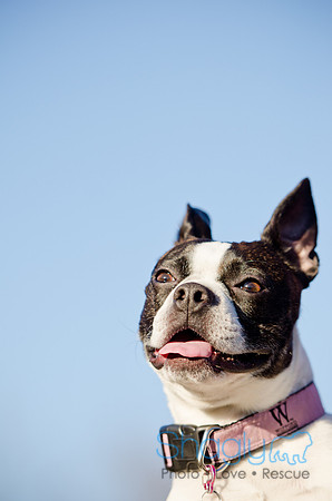 Powers Family-34