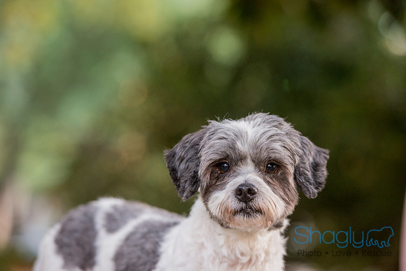 Matty