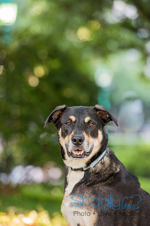 Kona