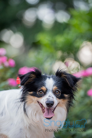 Herby
