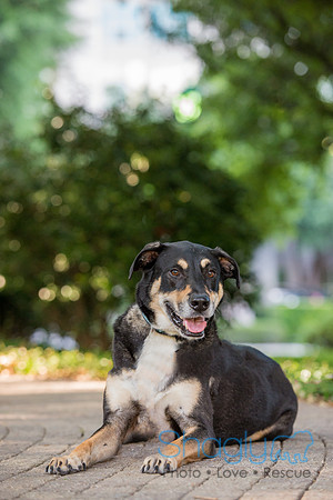 Kona