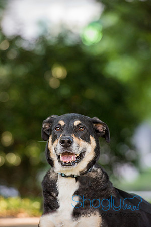 Kona