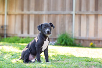 Bently