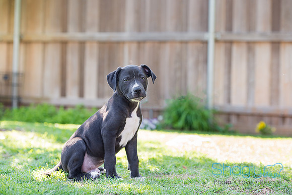 Bently