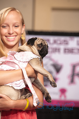 Project Pugway DFW Pug Rescue-16