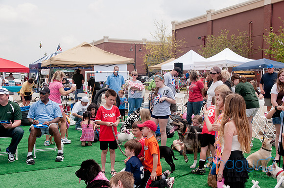Shagly Photography Prosper Pooch Party-143