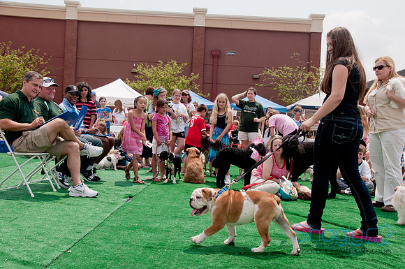 Shagly Photography Prosper Pooch Party-151