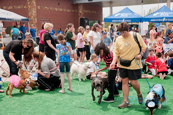 Shagly Photography Prosper Pooch Party-140