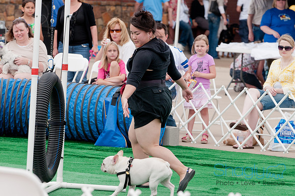 Shagly Photography Prosper Pooch Party-84