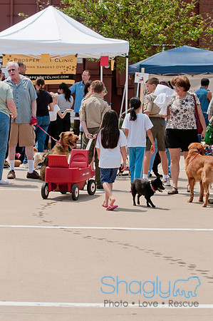 Shagly Photography Prosper Pooch Party-111