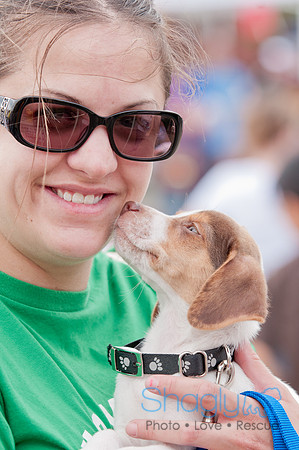 Shagly Photography Prosper Pooch Party-92