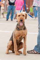 Shagly Photography Prosper Pooch Party