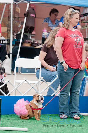 Shagly Photography Prosper Pooch Party-139
