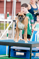 Shagly Photography Prosper Pooch Party-5