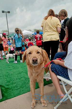 Shagly Photography Prosper Pooch Party-141