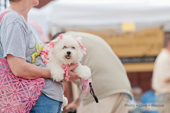Shagly Photography Prosper Pooch Party-103