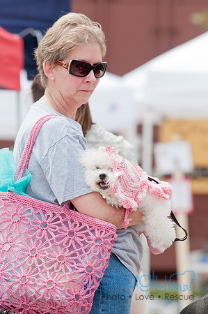 Shagly Photography Prosper Pooch Party-96