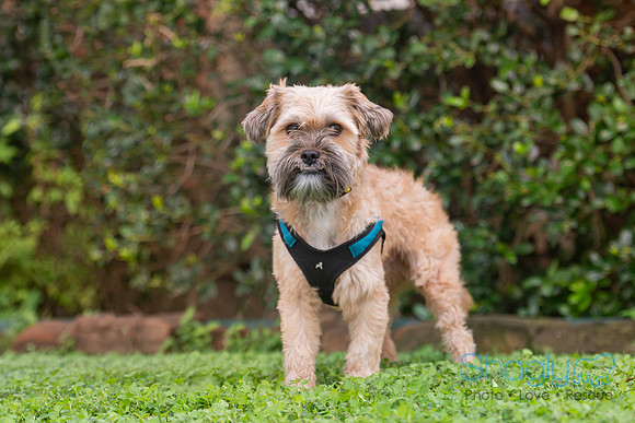 Duncan