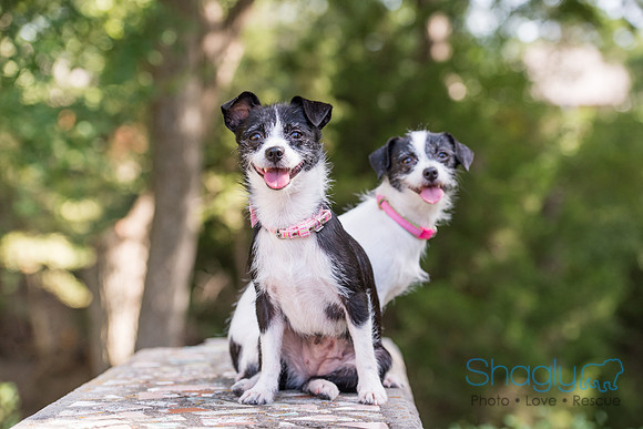 Gidget and Pippi