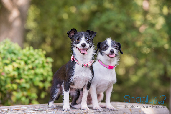 Gidget and Pippi