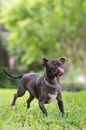 Tinkerbell