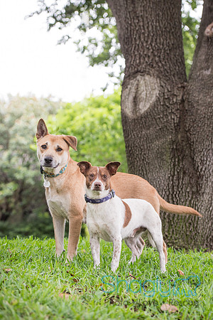Lady Bird and LBJ