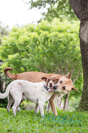 Lady Bird and LBJ