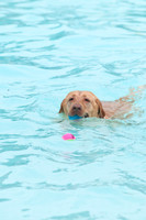 k9 kerplunk-13