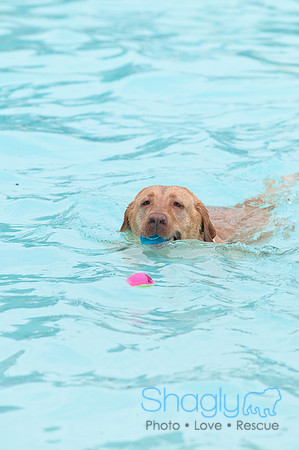 k9 kerplunk-13
