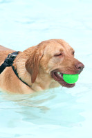 k9 kerplunk-18
