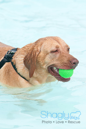 k9 kerplunk-18