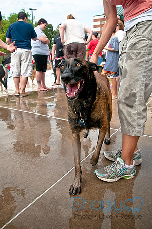 k9 kerplunk-91
