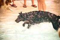 k9 kerplunk-4