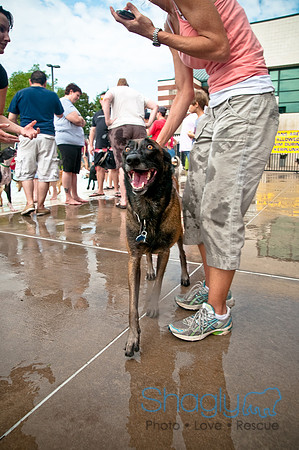 k9 kerplunk-90