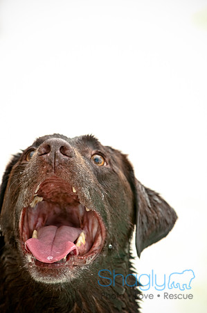 k9 kerplunk-35