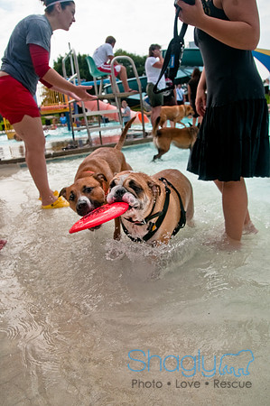 k9 kerplunk-93