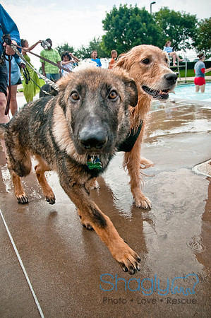k9 kerplunk-121