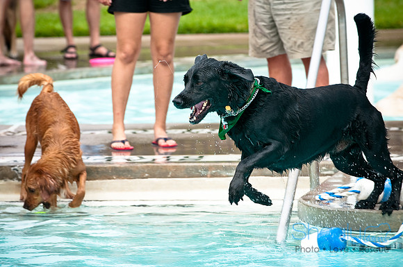 k9 kerplunk-49